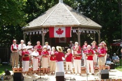 Wellington__-Canada-day-Good-save_2